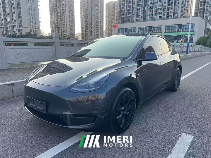 Tesla Model Y Rear-Wheel Drive
