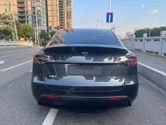 Tesla Model Y 2024 Rear-Wheel Drive - ფოტო 12