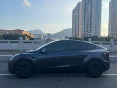 Tesla Model Y 2024 Rear-Wheel Drive - ფოტო 4