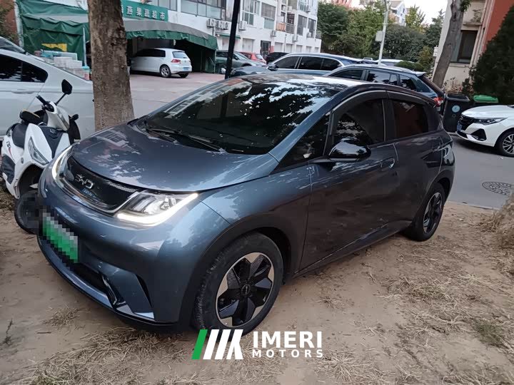 BYD Dolphin Glory Edition 420km Fashion Version - ავტომობილი ჩინეთიდან