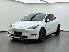 Tesla Model Y 2023 Long Range All-Wheel Drive - ფოტო 1