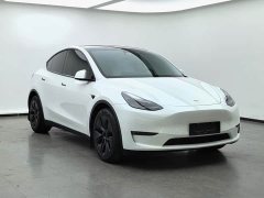 Tesla Model Y 2023 Long Range All-Wheel Drive - ფოტო 3
