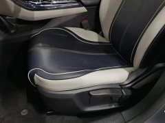 BYD Qin Plus 2021 DM-i 120KM Luxury - ფოტო 20