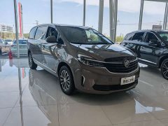 Buick GL8 Land Executive Cabin 652T Luxury - ფოტო 3