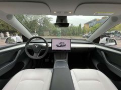 Tesla Model Y 2022 Facelift Rear-Wheel Drive - ფოტო 14