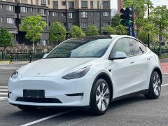 Tesla Model Y Long Range All-Wheel Drive 3D7 - ფოტო 1