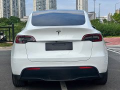 Tesla Model Y Long Range All-Wheel Drive 3D7 - ფოტო 10