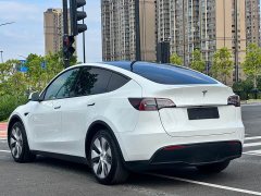 Tesla Model Y Long Range All-Wheel Drive 3D7 - ფოტო 11