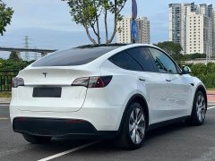 Tesla Model Y Long Range All-Wheel Drive 3D7 - ფოტო 12
