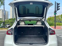Tesla Model Y Long Range All-Wheel Drive 3D7 - ფოტო 13