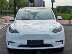 Tesla Model Y Long Range All-Wheel Drive 3D7 - ფოტო 2