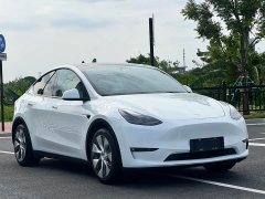Tesla Model Y Long Range All-Wheel Drive 3D7 - ფოტო 3