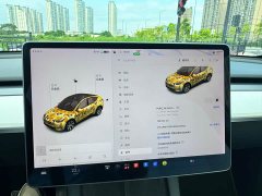 Tesla Model Y Long Range All-Wheel Drive 3D7 - ფოტო 4