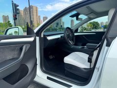 Tesla Model Y Long Range All-Wheel Drive 3D7 - ფოტო 5