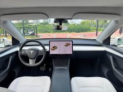 Tesla Model Y Long Range All-Wheel Drive 3D7 - ფოტო 9