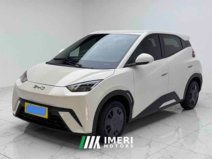 BYD Seagull 2025 305km Vitality Edition - ავტომობილი ჩინეთიდან