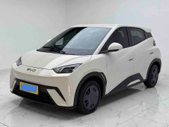 BYD Seagull 2025 305km Vitality Edition - ფოტო 1