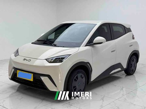 2024 BYD Seagull 2025 305km Vitality Edition - ავტომობილი ჩინეთიდან