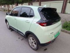 Yuehu Yuehe 330 Luxury Edition - ფოტო 6