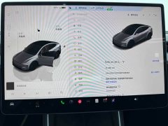 Tesla Model Y Rear-Wheel Drive - ფოტო 13