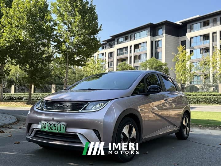 BYD Dolphin 420km Fashion Edition - ავტომობილი ჩინეთიდან