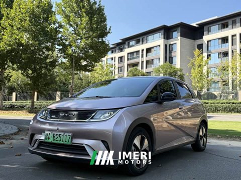 2023 BYD Dolphin 420km Fashion Edition - ავტომობილი ჩინეთიდან
