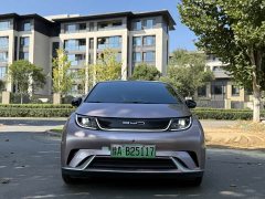 BYD Dolphin 420km Fashion Edition - ფოტო 2