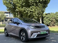 BYD Dolphin 420km Fashion Edition - ფოტო 3