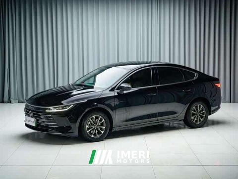 2024 BYD Destroyer 05 Glory Edition DM-i 55KM Luxury