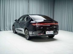 BYD Destroyer 05 Glory Edition DM-i 55KM Luxury - ფოტო 11