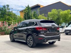 BMW X1 xDrive25Li Premium - ფოტო 8