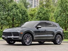 Porsche Cayenne 3.0T - ფოტო 1
