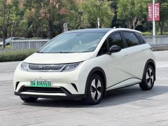 BYD Dolphin 420km Fashion Edition - ფოტო 1