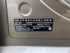 Buick GL8 ES Luxe 653T Prestige - ფოტო 11