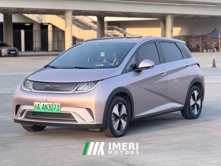 BYD Dolphin 405km Freedom Edition - ავტომობილი ჩინეთიდან