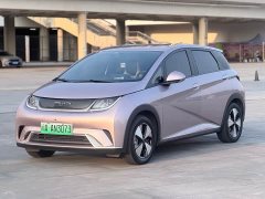 BYD Dolphin 405km Freedom Edition - ფოტო 1