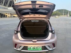 BYD Dolphin 405km Freedom Edition - ფოტო 10