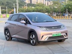 BYD Dolphin 405km Freedom Edition - ფოტო 3