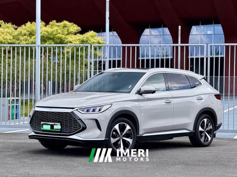 2023 BYD Song Plus New Energy 2021 DM-i 110KM Flagship - ავტომობილი ჩინეთიდან