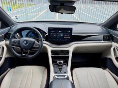 BYD Song Plus New Energy 2021 DM-i 110KM Flagship - ფოტო 7