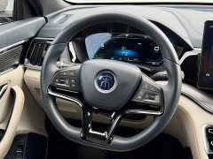 BYD Song Plus New Energy 2021 DM-i 110KM Flagship - ფოტო 9