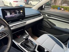 Geely Emgrand 4th Generation 1.5L CVT Flagship - ფოტო 20