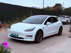 Tesla Model 3 Facelift Standard Range RWD Upgrade 3D1 - ფოტო 1