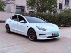 Tesla Model 3 Facelift Standard Range RWD Upgrade 3D1 - ფოტო 3