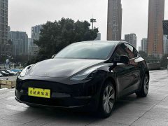 Tesla Model Y Long Range All-Wheel Drive - ფოტო 1