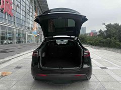 Tesla Model Y Long Range All-Wheel Drive - ფოტო 10