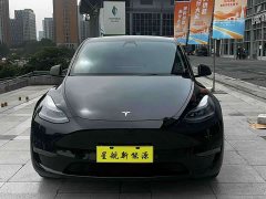 Tesla Model Y Long Range All-Wheel Drive - ფოტო 2