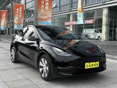 Tesla Model Y Long Range All-Wheel Drive - ფოტო 4