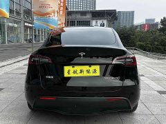 Tesla Model Y Long Range All-Wheel Drive - ფოტო 8