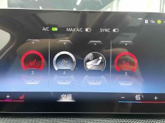 BMW 3 Series 320Li M Sport Package - ფოტო 16